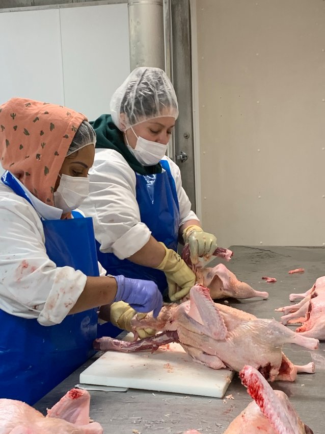 Female moulards are processed at Hudson Valley Foie Gras.